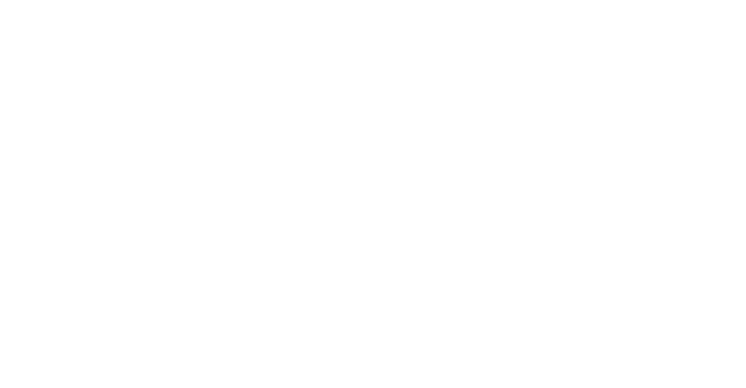 Mad Moth